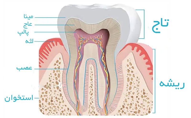 روش درمان، عوامل و علائم حساسیت دندان